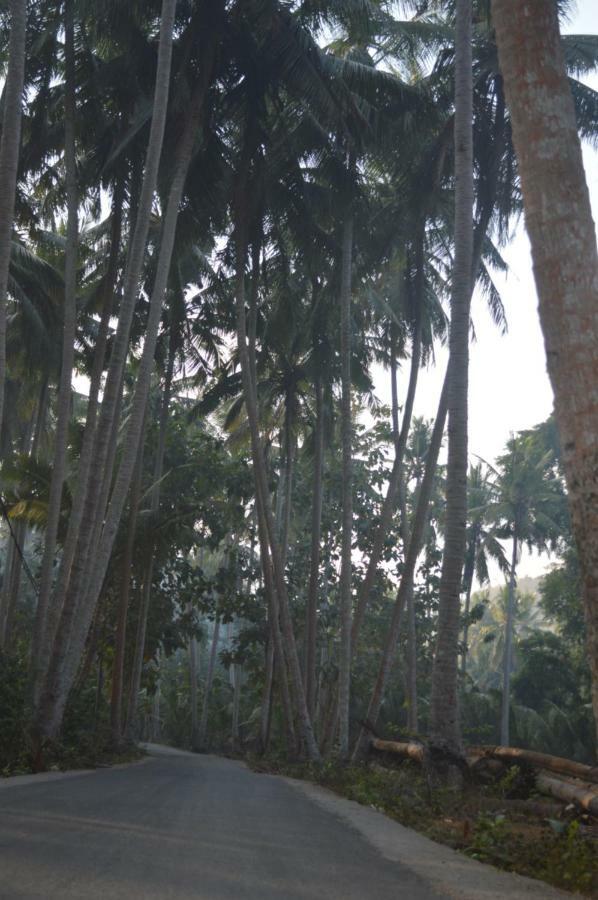 Nyuh Gading Bungalow Nusa Penida Sakti Eksteriør billede